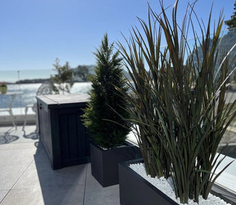 0056E109-1204-44FE-B434-1ACCEEEB0849