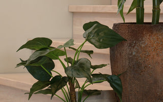 Tips fra plantespesialistene hos ambiplants - Hva skal du se etter når du skal kjøpe en kunstig plante?