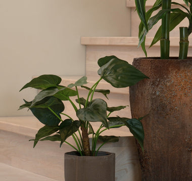 Tips fra plantespesialistene hos ambiplants - Hva skal du se etter når du skal kjøpe en kunstig plante?