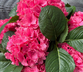 6250RS Horensia rosa ball på stamme-1