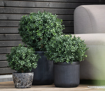 Vår guide for ambiplants.no - Kunstige planter, blomster og trær