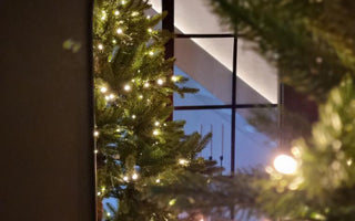 Skap Julestemning ute og inne med Kunstige Planter fra Ambiplants.no