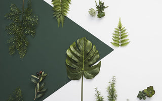 Emerald 20162295_vierkant