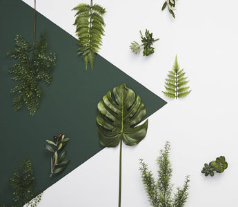 Emerald 20162295_vierkant
