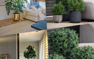 Skap en imponerende entré med barvekster fra ambiplants.no