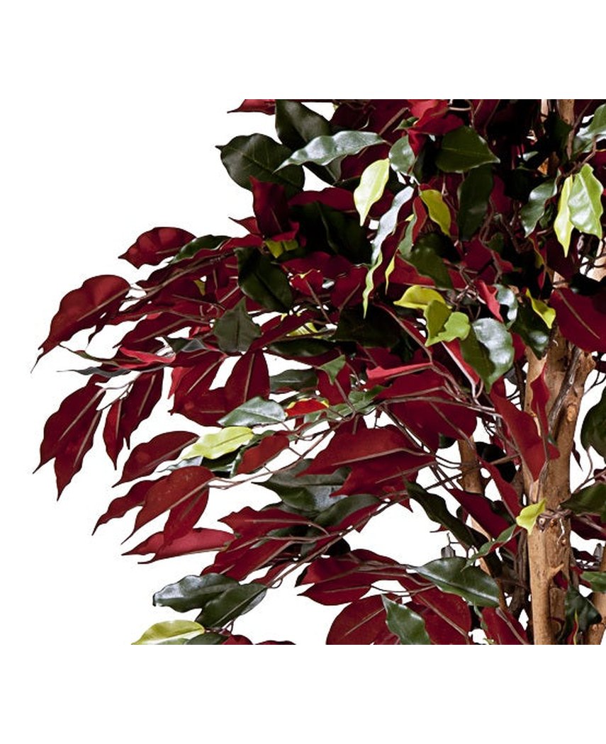 Kunstig Fat Fikus Burgunder Brannsikker 180cm