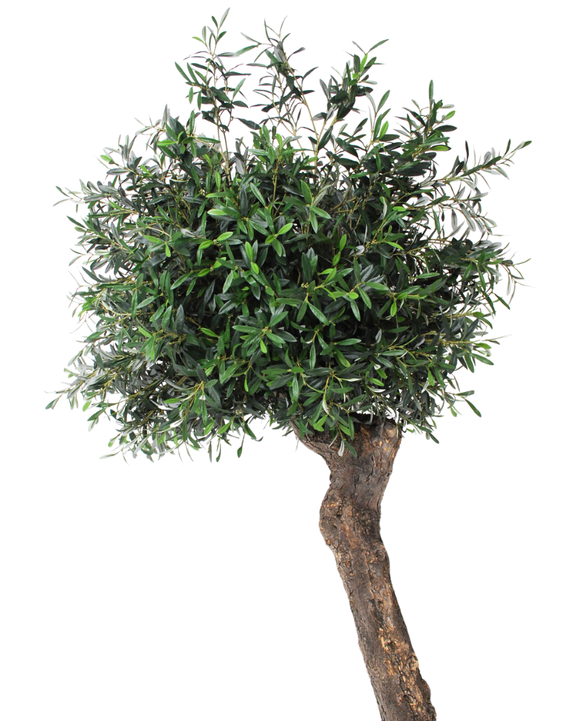 Kunstig Oliventre ¨Cannes¨ Unik 220 cm