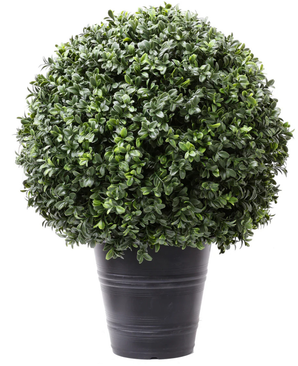 Kunstig Buksbom Romerstil i Potte UV 60 cm