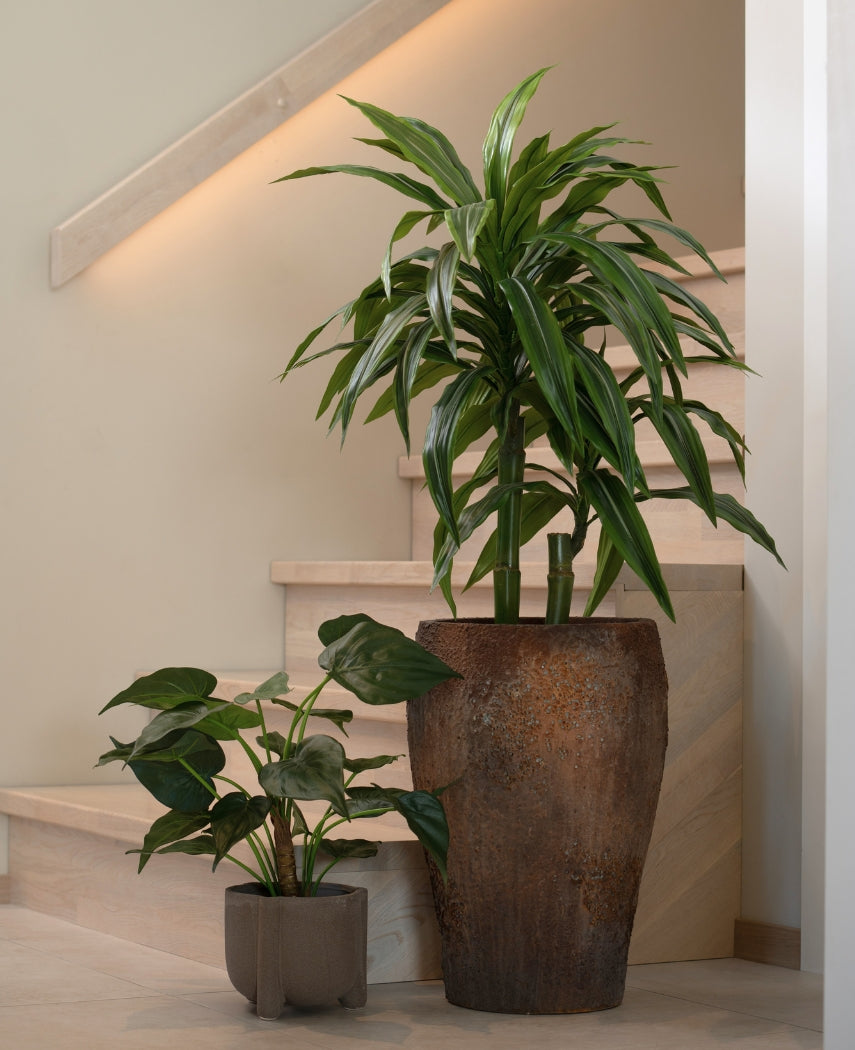 Kunstig Alocasia Cucullata 53 cm