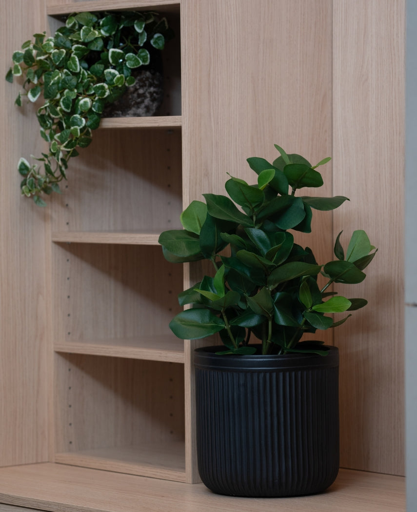 Kunstig Clusia 45 cm