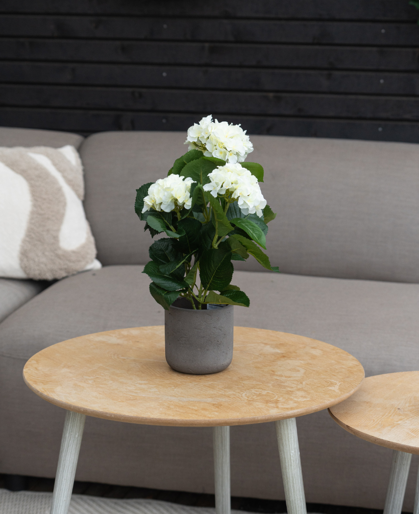 Kunstig Hortensia Deluxe Kremhvit UV 35 cm
