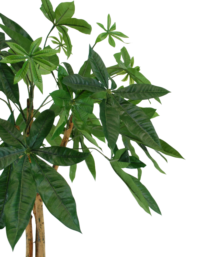 Kunstig Pachira tre 70cm