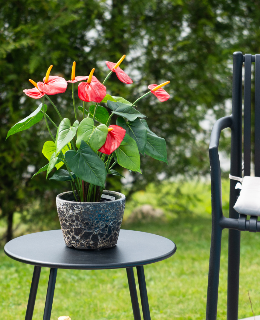 Kunstig Anthurium Plante Rød UV 53 cm