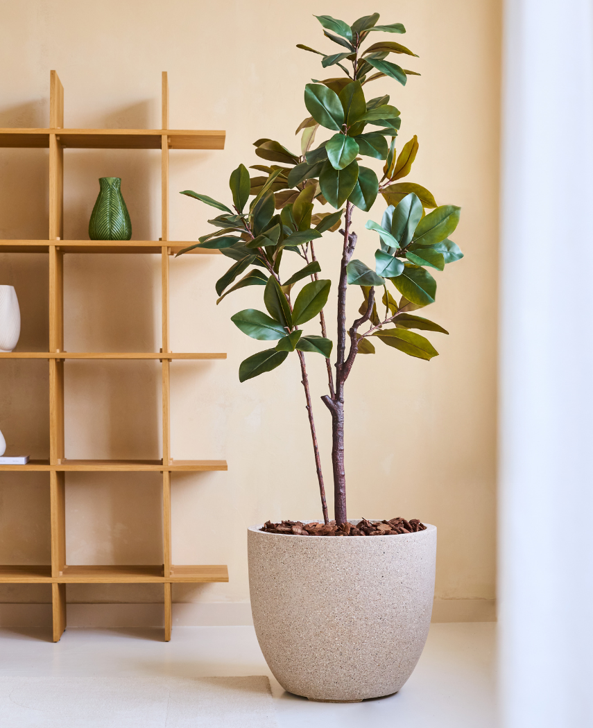 Kunstig Magnolia ‘Teddy Bear’ Tre 180cm