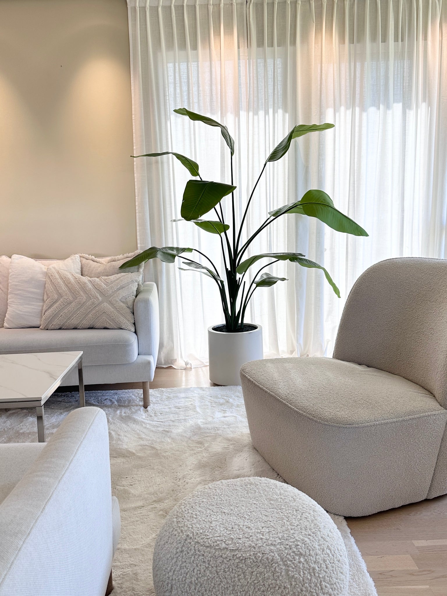 Kunstig Strelitzia Real Touch i Beige Potte 180 cm