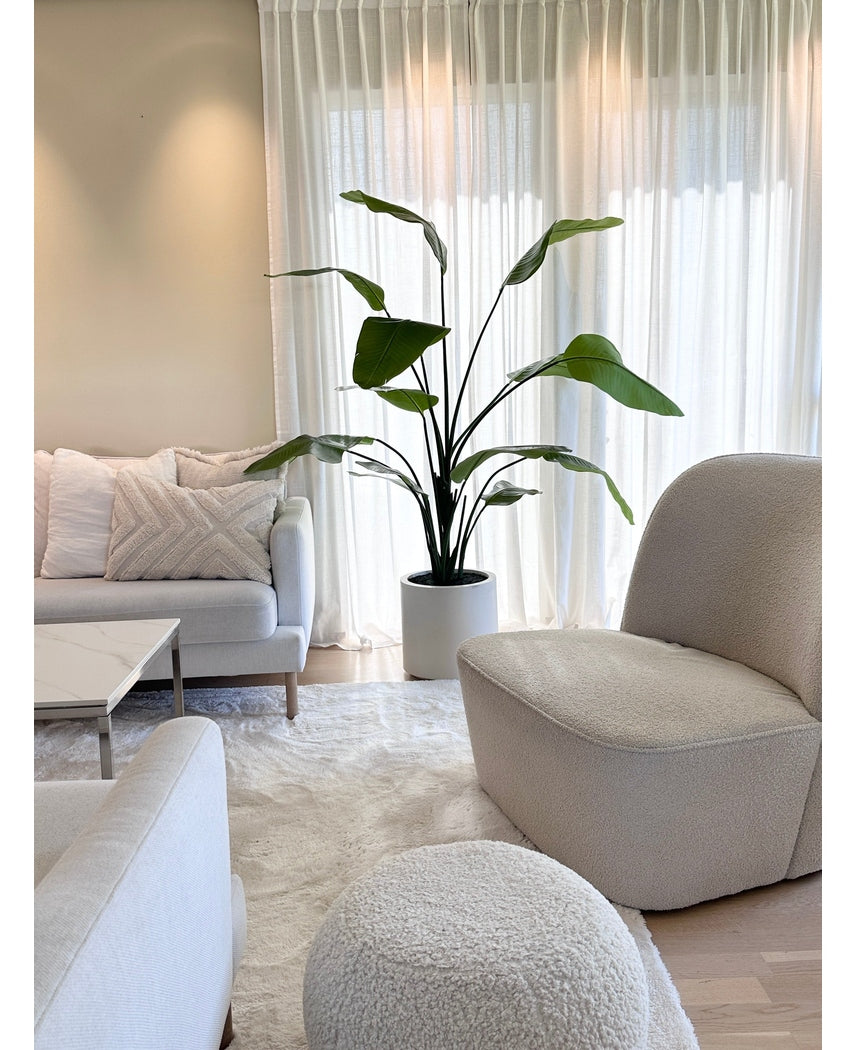 Kunstig Strelitzia Real Touch i Beige Potte 180cm