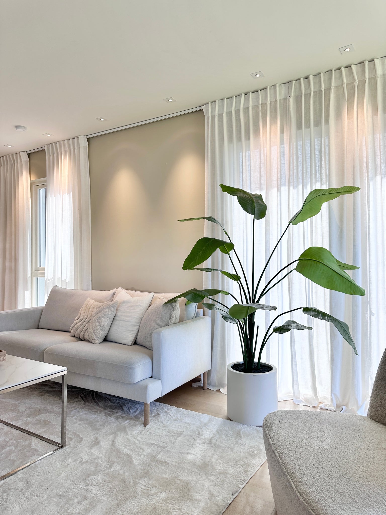 Kunstig Strelitzia Real Touch i Beige Potte 180 cm