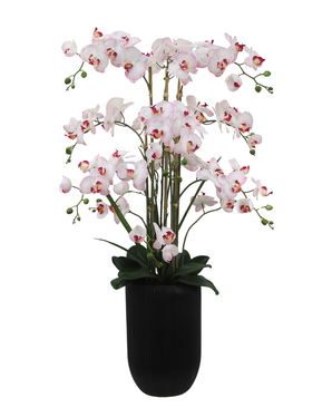 Eksklusiv Kunstig Orkidé Real Touch Rosa/Hvit 110cm