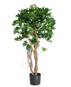 Kunstig Schefflera Tre Unik 120cm