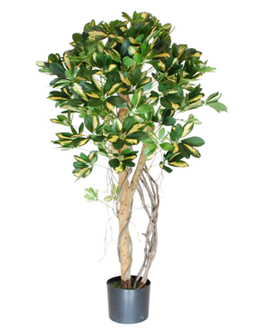 Kunstig Schefflera Unik Gulgrønn 120cm