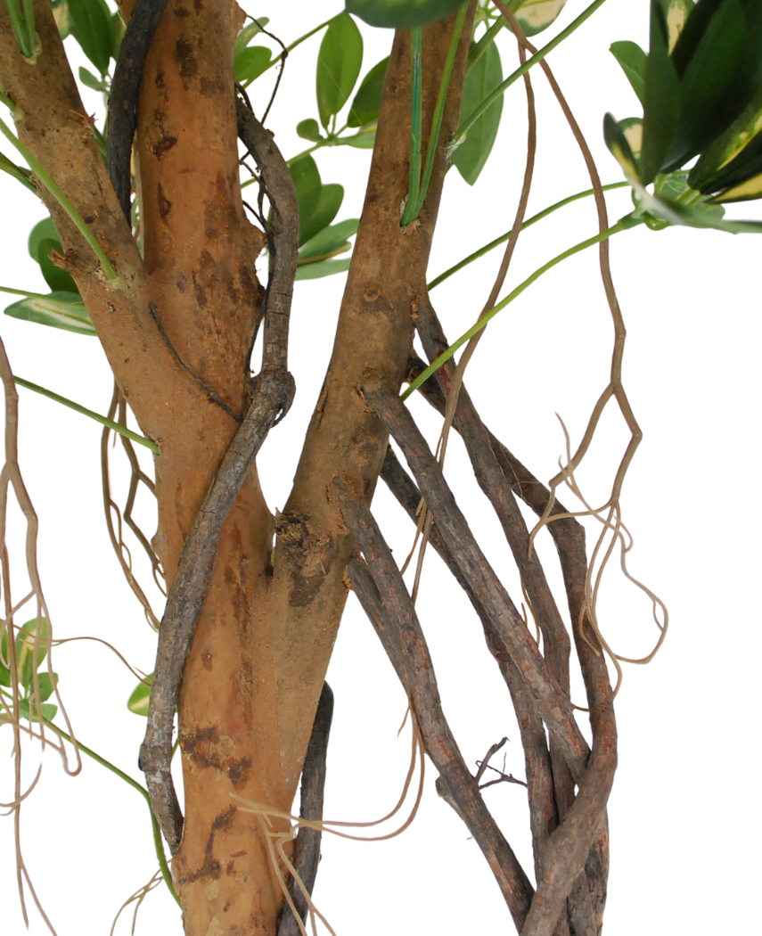 Kunstig Schefflera Unik Gulgrønn 120cm