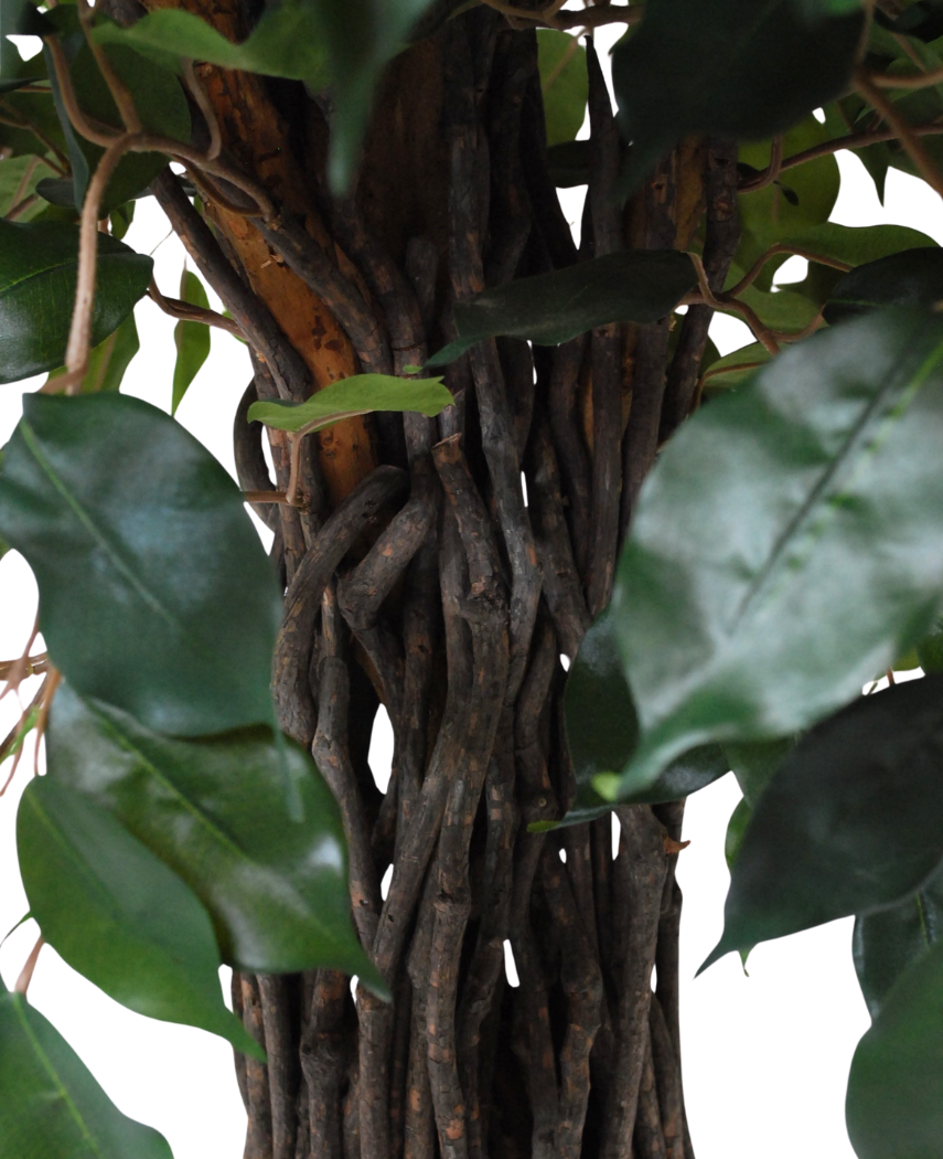 Kunstig Gråtende Fikus Benjamina 150cm