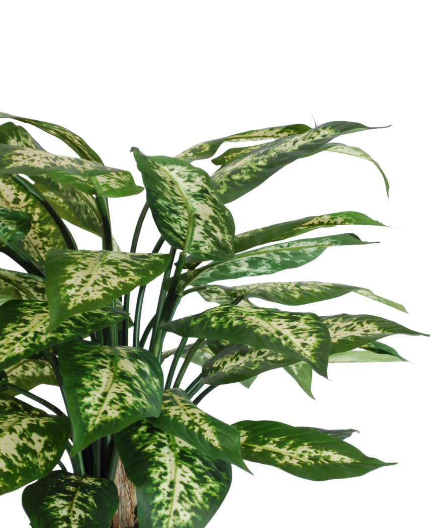 Kunstig Dieffenbachia Fyldig 60cm