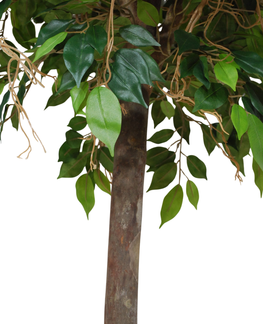 Kunstig Fikus Benjamin Tre 180cm