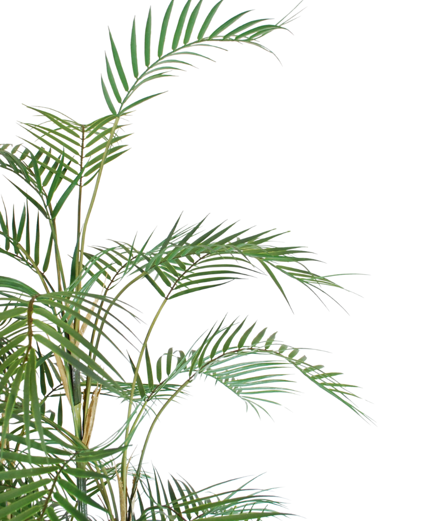 Kunstig Areca Fjær-Palme 180 cm