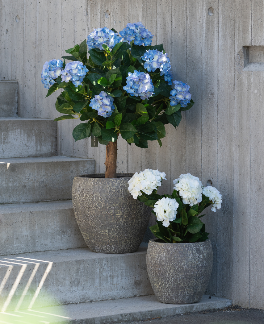 Kunstig Hortensia busk Hvit/Krem UV 50cm