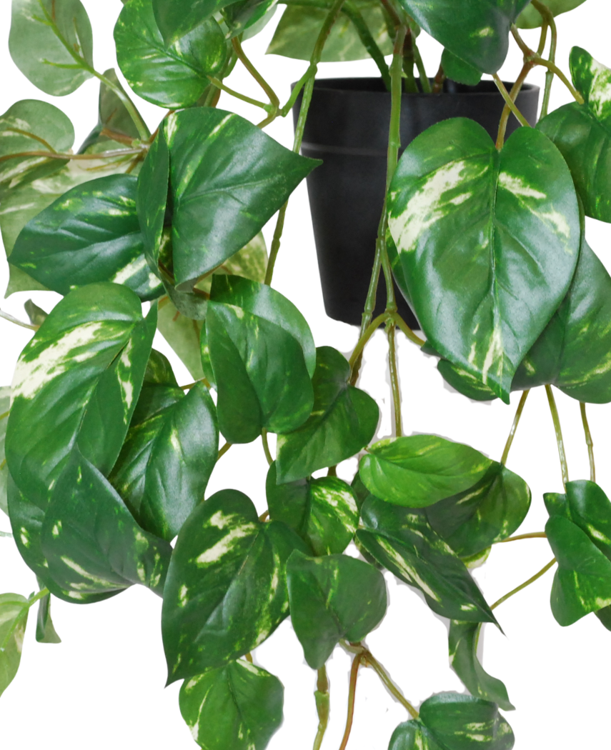 Kunstige Hengende Gullranke Deluxe i Potte UV 80cm