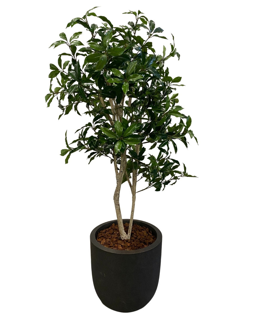 Kunstig Shikibi Laurbær Tre 120cm