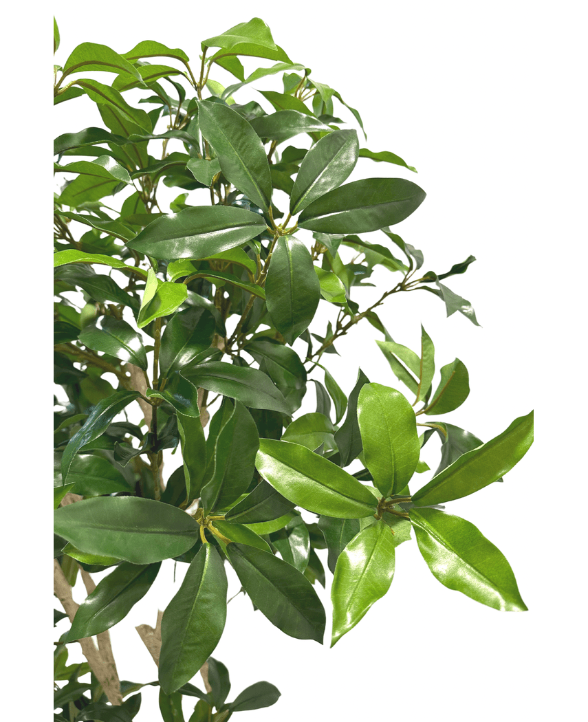 Kunstig Shikibi Laurbær Tre 120cm