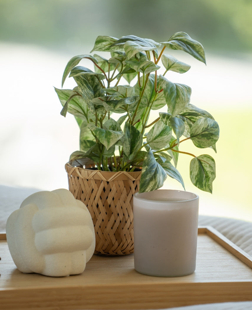 Kunstig Gullranke i Potte UV 25cm