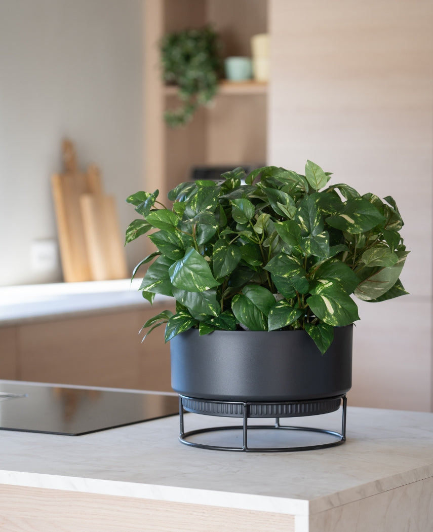 Kunstig Gullranke i Potte UV 35cm