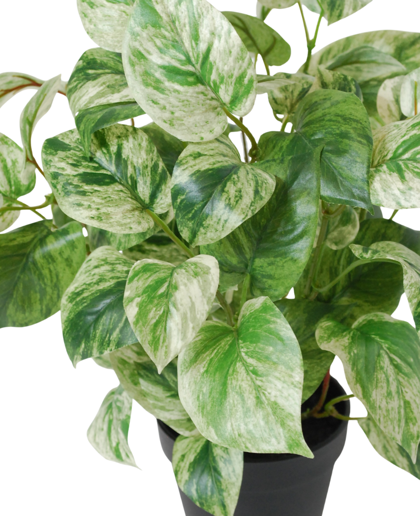 Kunstig Gullranke Grønnhvit i Potte UV 35cm