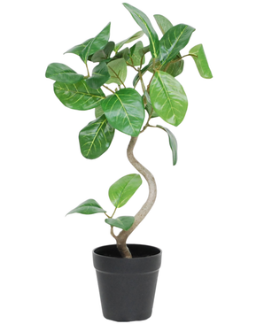 Kunstig Minitre Fikus Elastica UV 42 cm