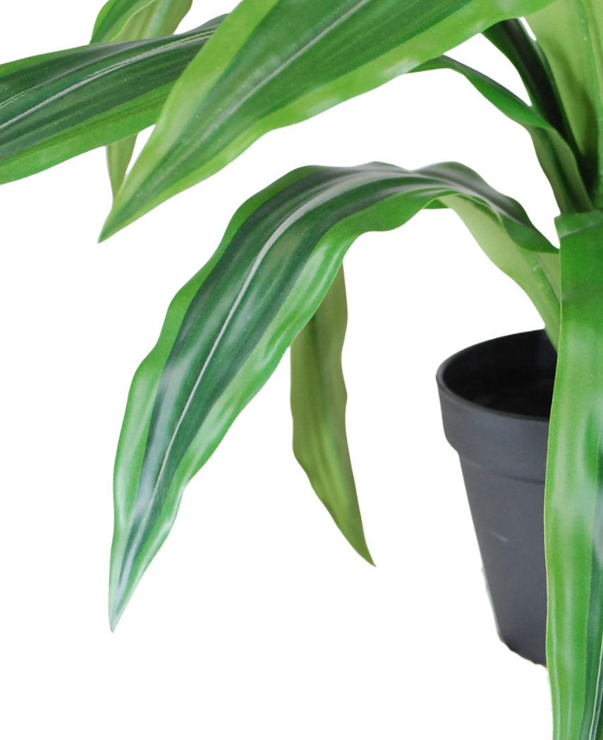 Kunstig Dracaena i Potte UV 50cm
