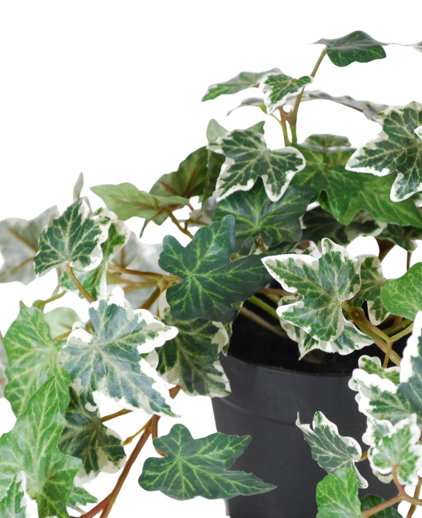 Kunstig Eføy Deluxe Grønnhvit UV i Potte 22cm