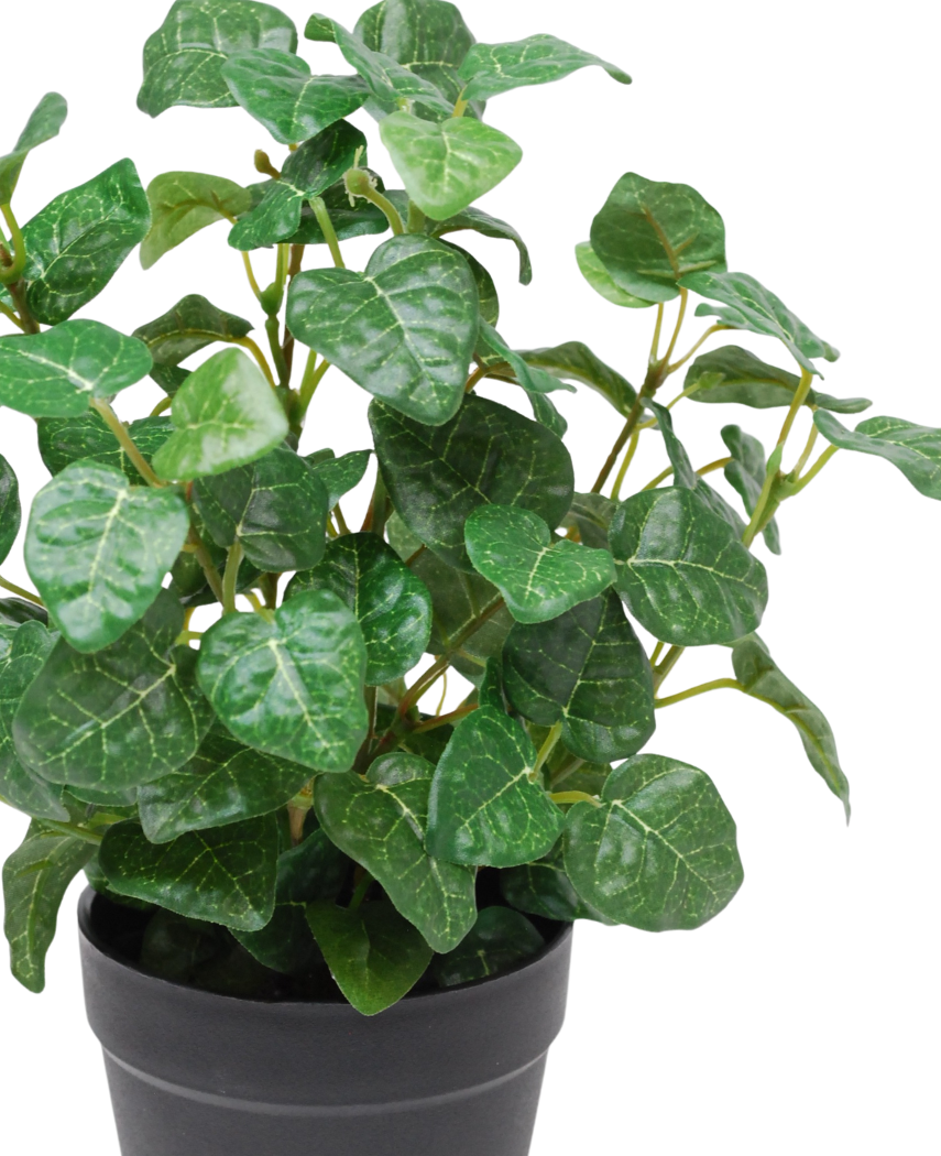 Kunstig Pumila i Potte Grønn UV 25cm