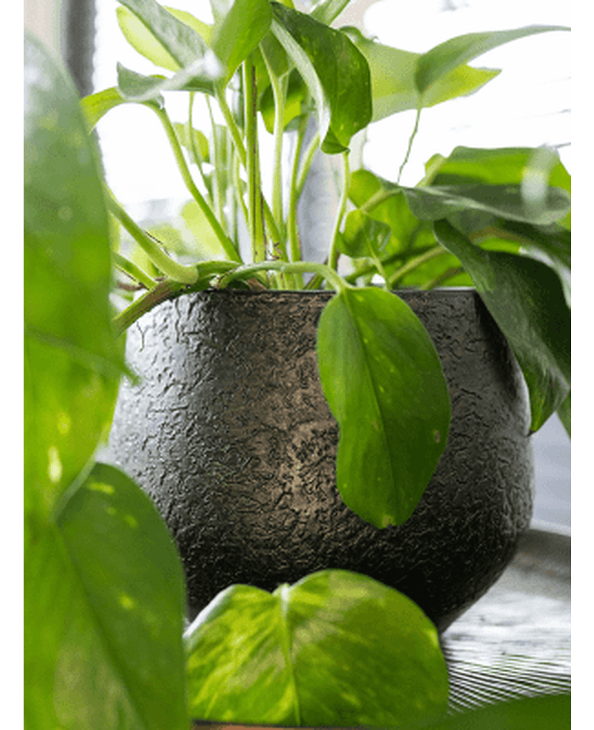 TS Noor potte Velvet Green H16cm x D19cm