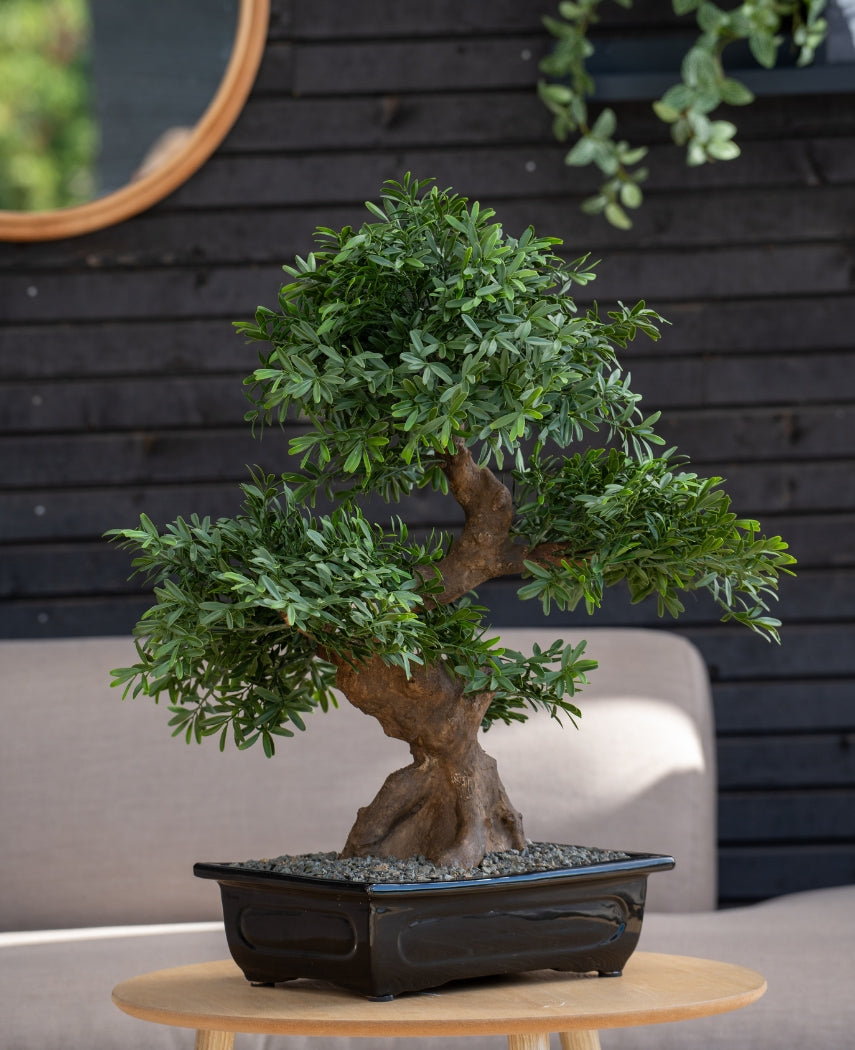 Kunstig Majestetisk Bonsai Tre 70cm