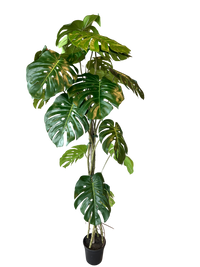 Kunstig Monstera Split 180cm
