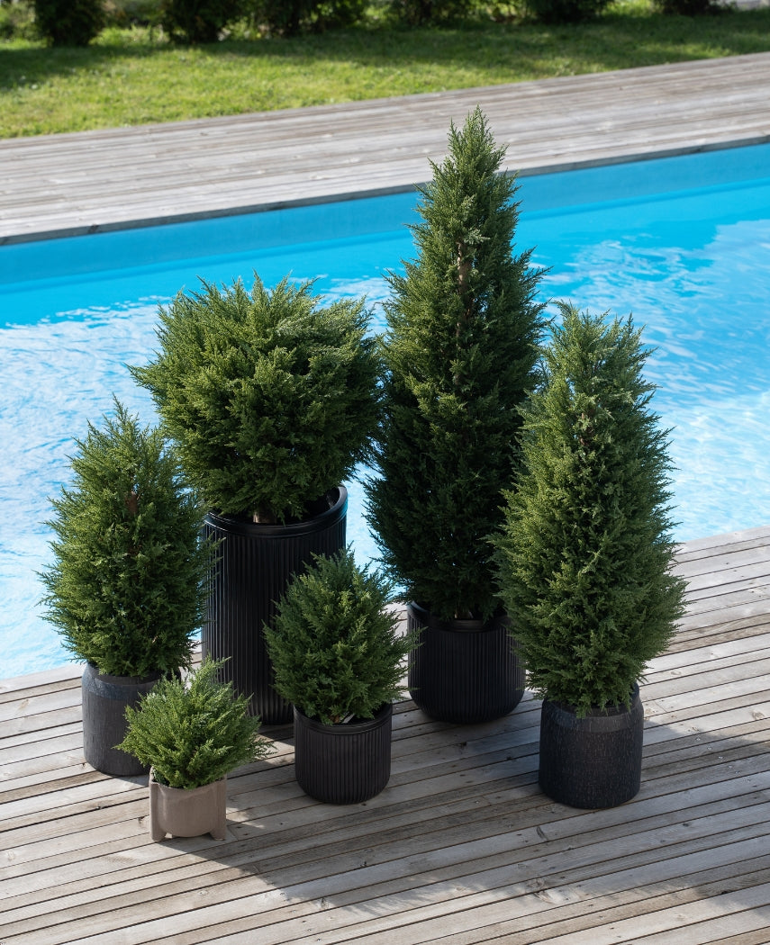 Kunstig Tuja Ball Busk Deluxe UV 80 cm