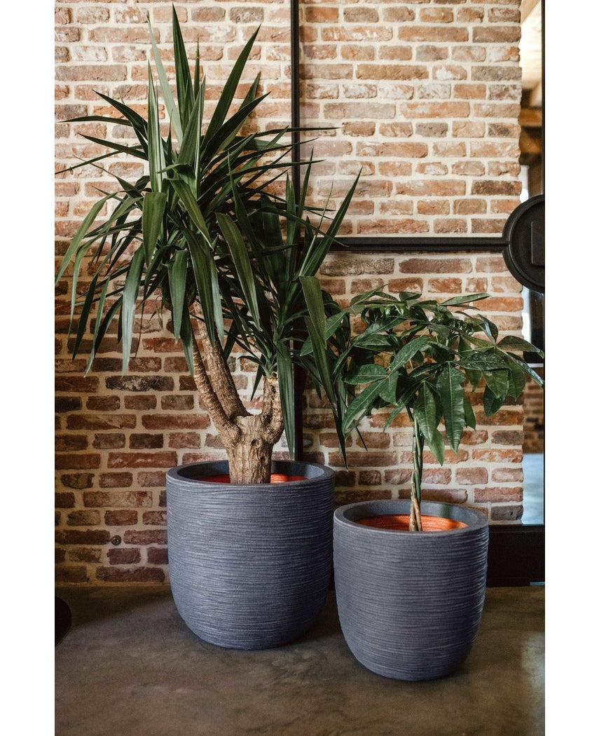 Capi Tutch Ball Rib Mørkegrå 41cm