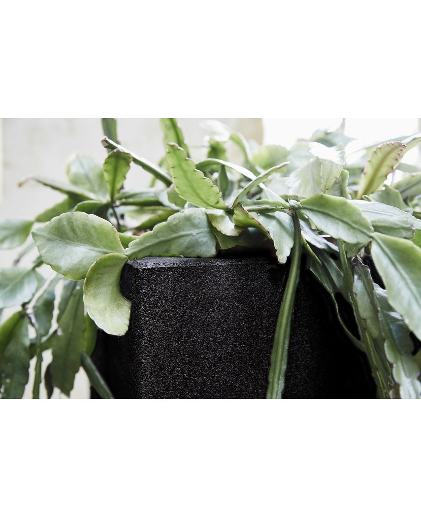 Capi Tutch Potte Kube Sort 30cm