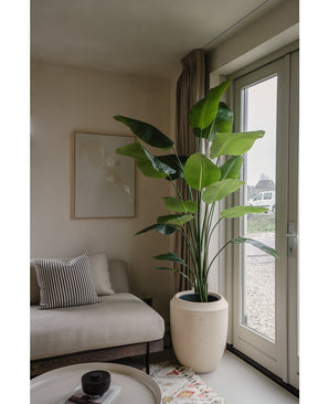 Kunstig Strelitzia Real Touch 210 cm