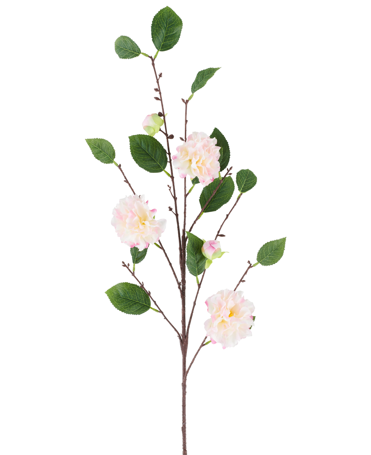 Een enkele stengel van de Kunstbloem Japanse Camellia, 92 cm lang, met meerdere takken met groene bladeren en zachte, lichtroze, camellia-achtige bloemen, afgebeeld tegen een effen witte achtergrond.