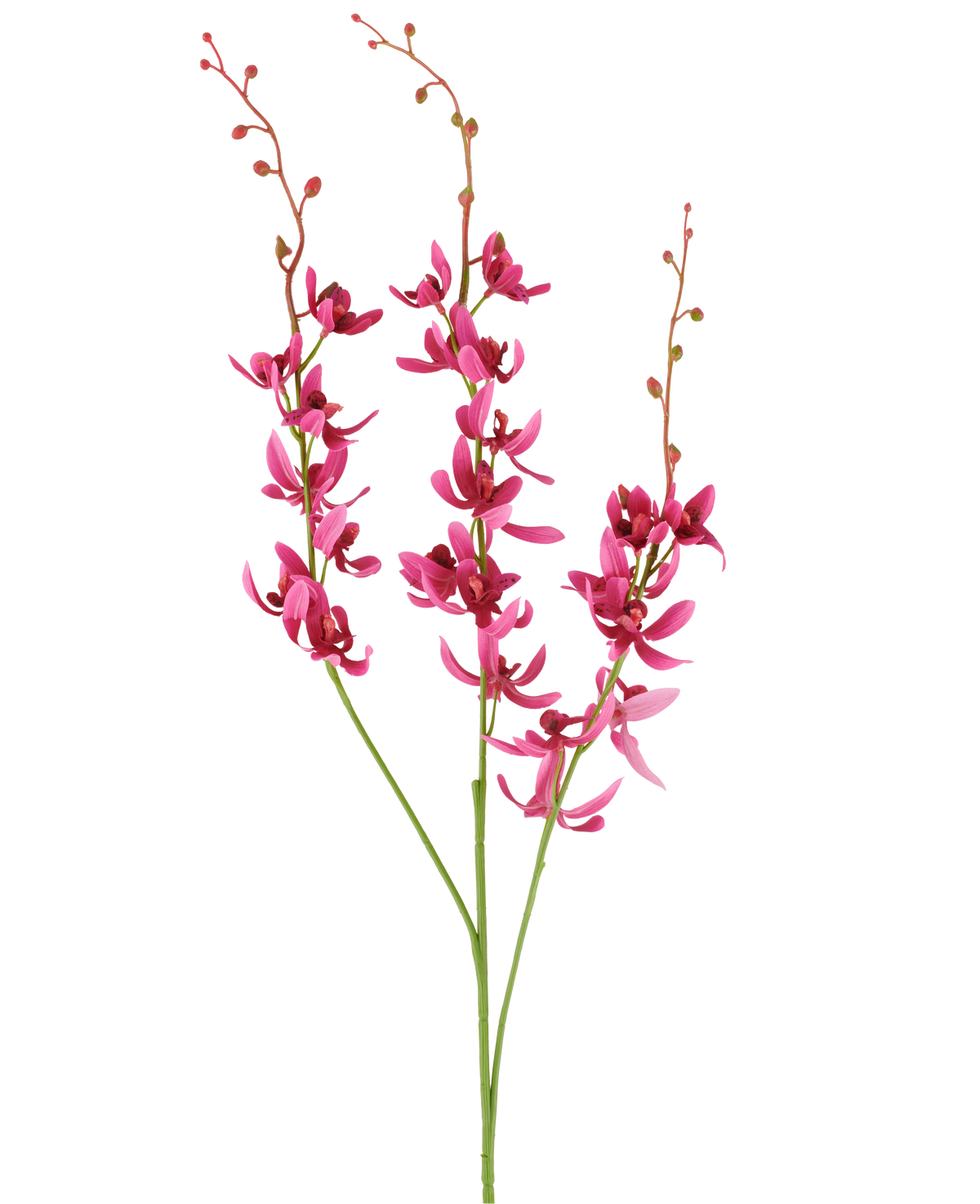 Drie stelen van de Kunstbloem Cymbidium van 95 cm in bordeauxrood, met levendige bloemen en kleine knopjes, afgebeeld tegen een witte achtergrond.