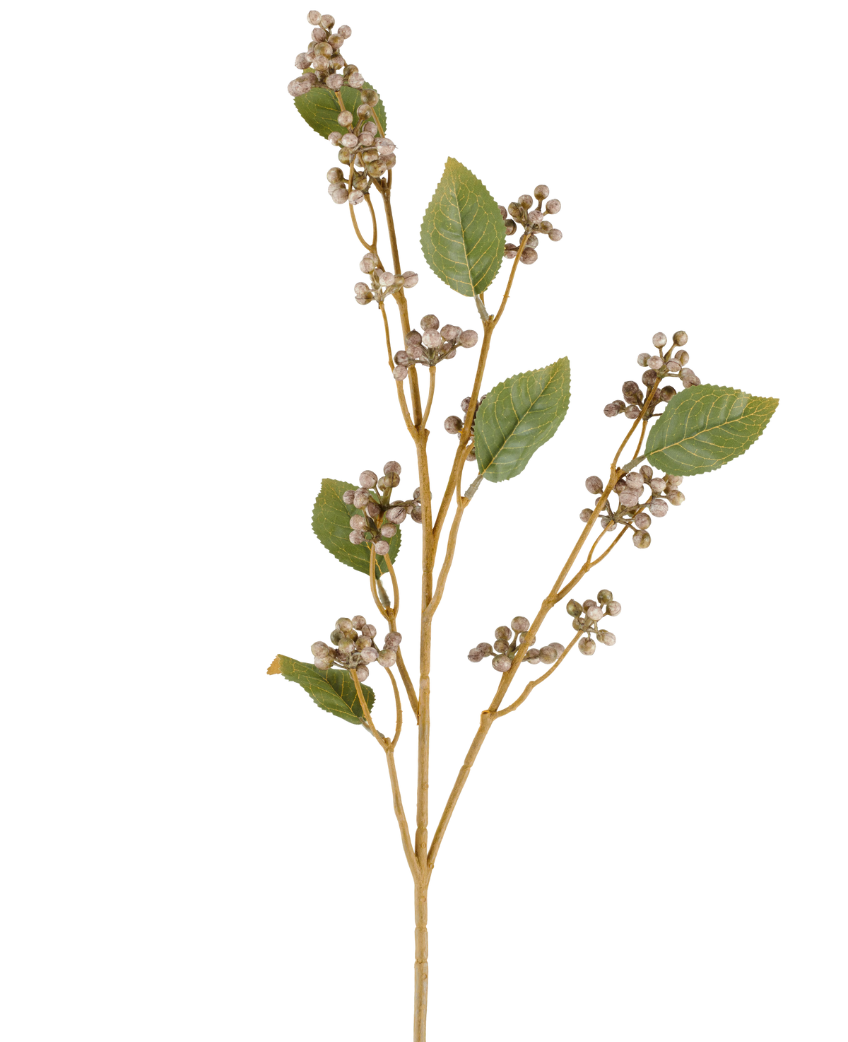 Een enkele stengel van de Kunstbloem Dewberry, 78 cm hoog, met verschillende groene bladeren en trossen kleine, ronde beige bessen aan dunne bruine takjes in grijze en paarse tinten, tegen een witte achtergrond.